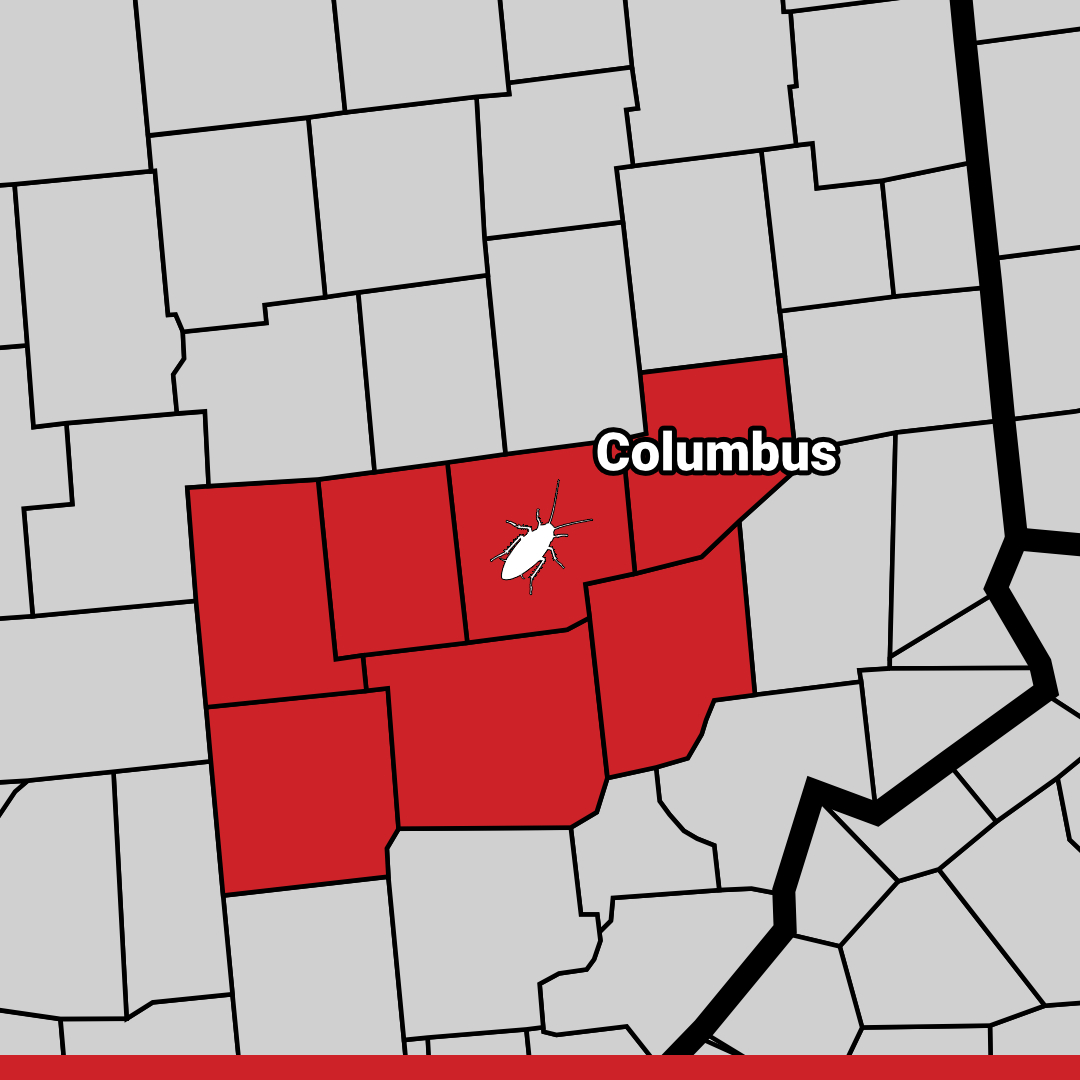 Pest Control Columbus Exterminator Columbus, IN Termite Treatment